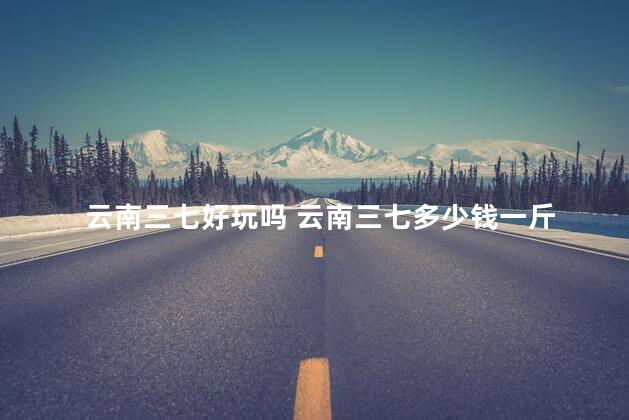 云南三七好玩吗 云南三七多少钱一斤